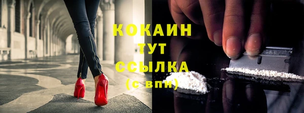 прущие грибы Карталы