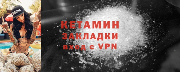 прущие грибы Карталы