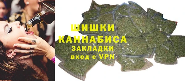 твердый Касимов