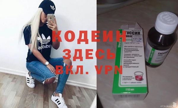 прущие грибы Карталы