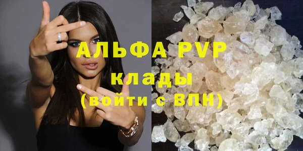 прущие грибы Карталы