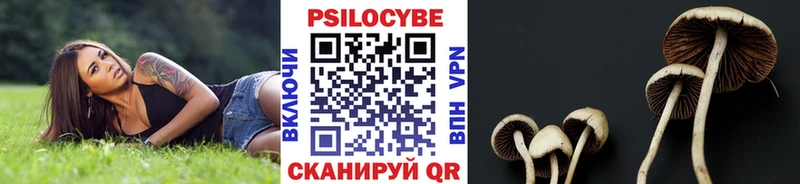 Купить закладки  Беслан  Псилоцибиновые грибы Magic Shrooms 