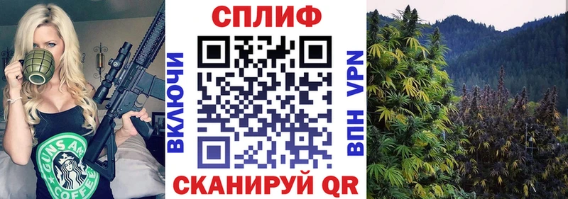 Бошки марихуана VHQ Беслан